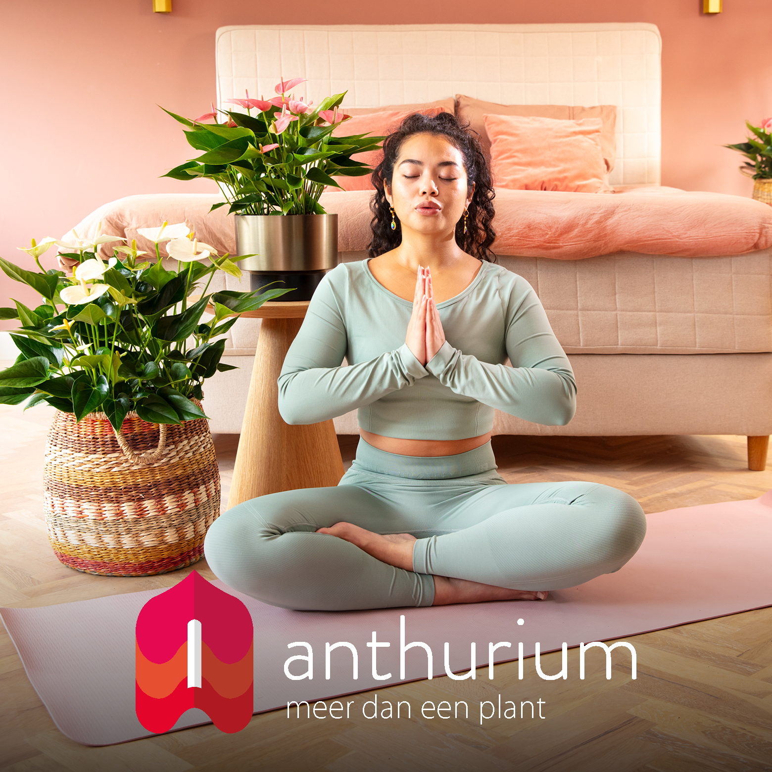 Anthurium